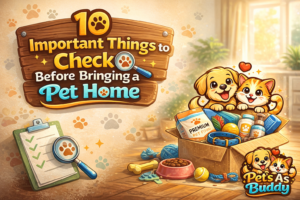 Pet Home