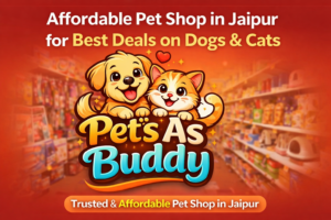 Affordable Pet Shop in Jaipur