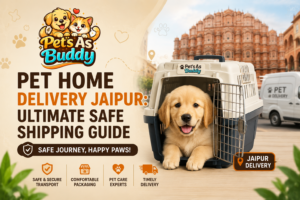 Pet home delivery in Jaipur with safe pet transport and secure puppy shipping by Pets As Buddy.